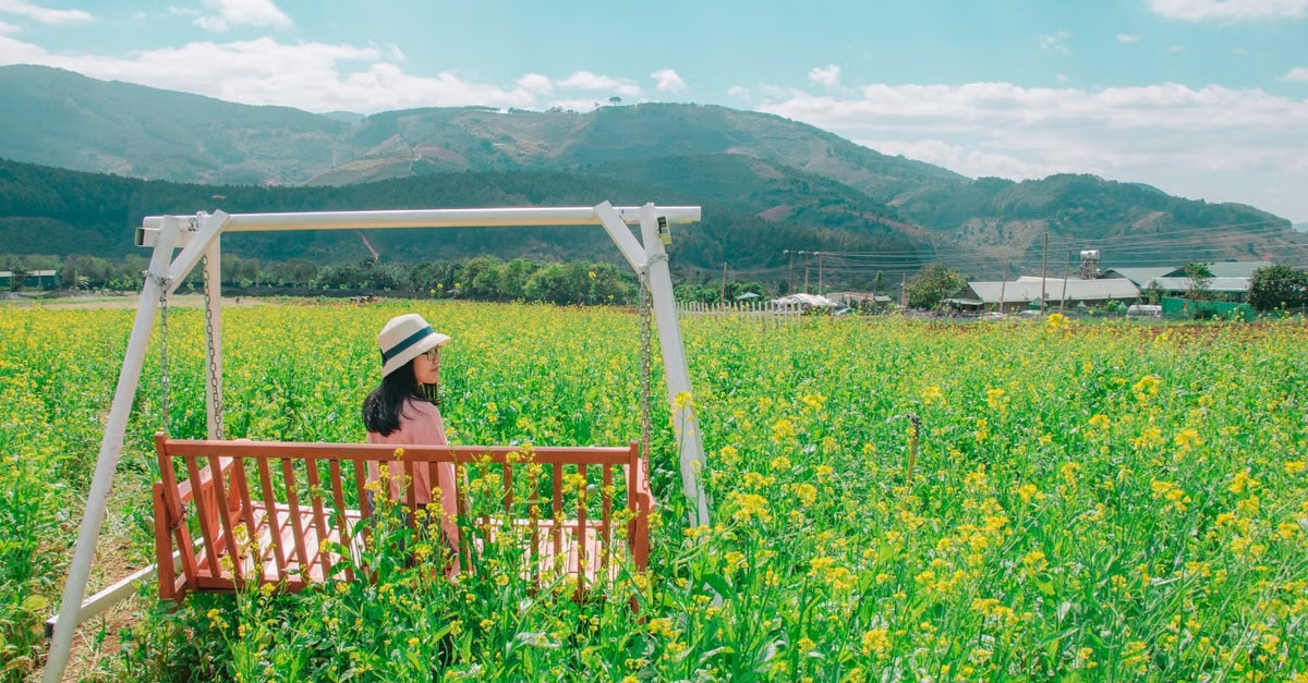 Woman sitting on a swing in a sunlit flower field